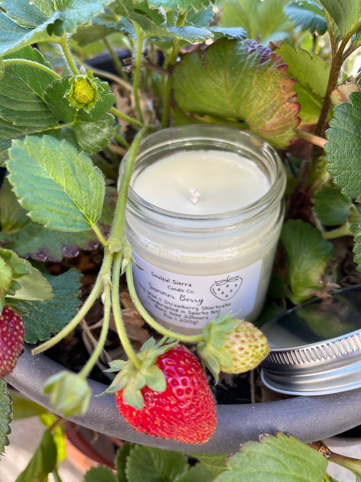 Summer Berry A Strawberry Shortcake fragrance Candle